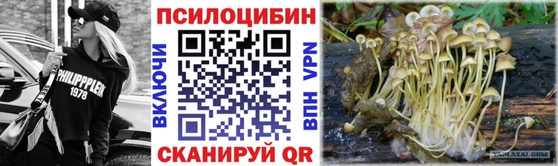 наркошоп  Уржум  Псилоцибиновые грибы мухоморы 