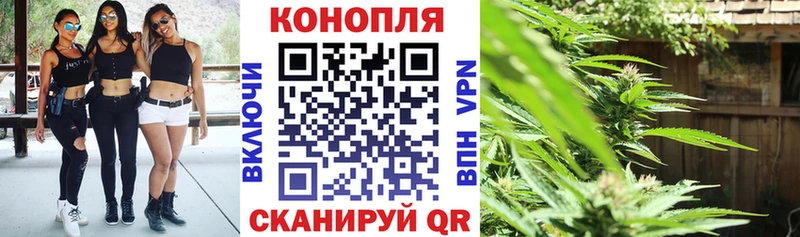 купить наркотик  Уржум  Бошки Шишки SATIVA & INDICA 